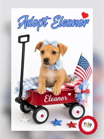 Eleanor