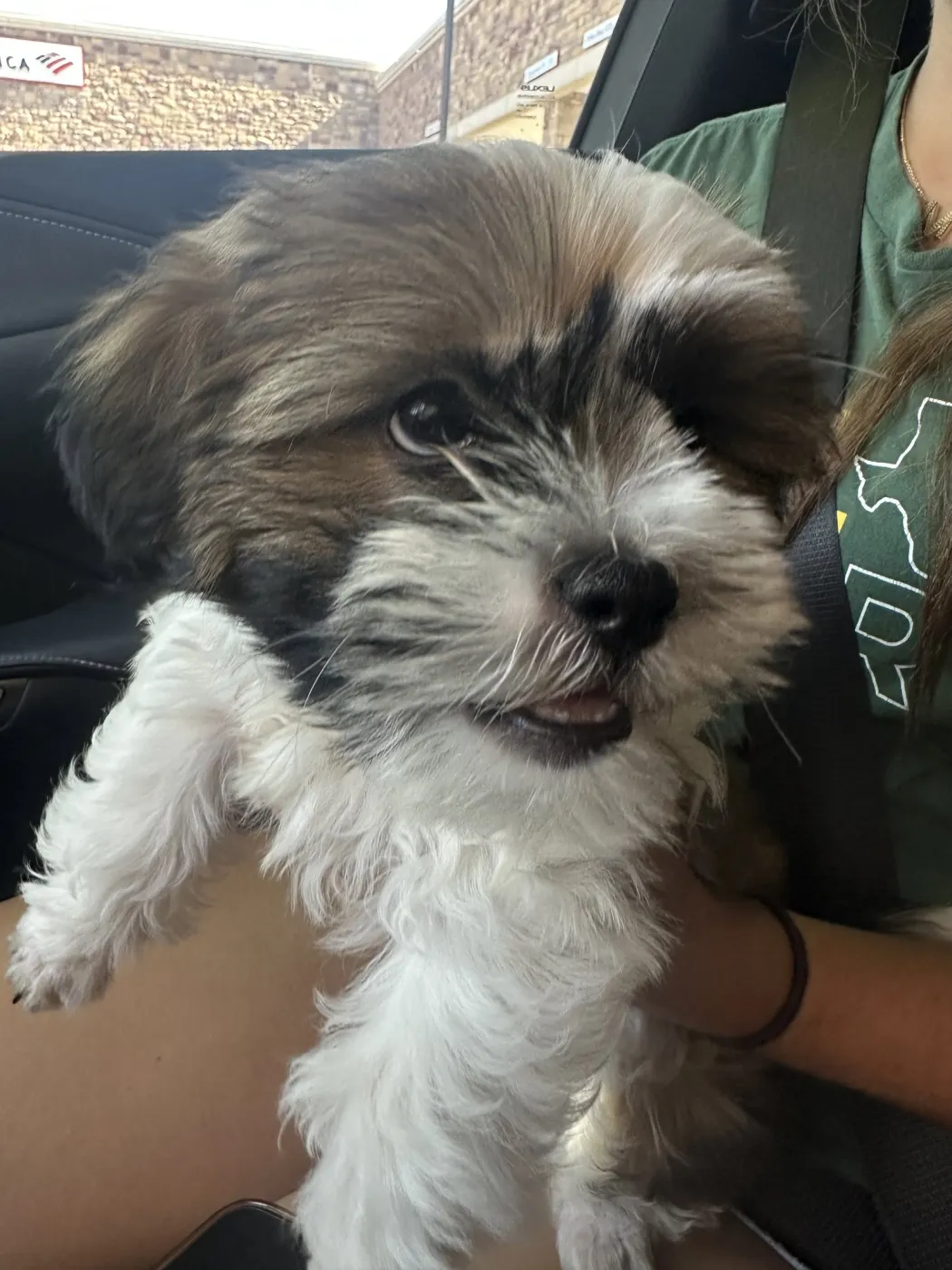 Milo - Photo 1