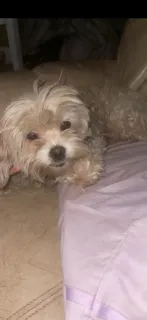 Charlie - Photo 1