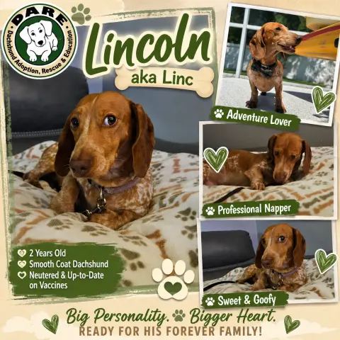 Lincoln