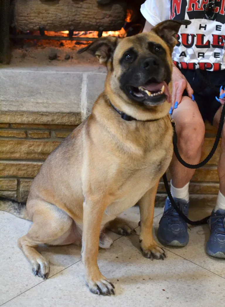 Reggie - Photo 1