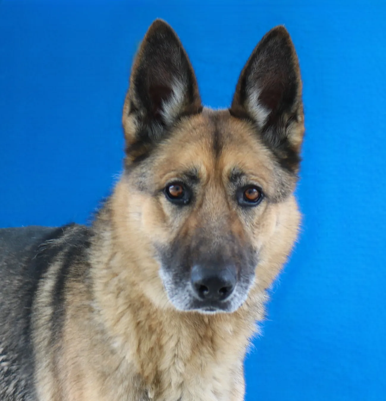 Odin - Photo 1