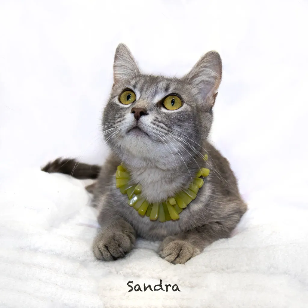Sandra - Photo 1