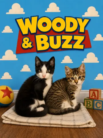Woody & Buzz