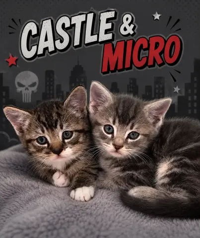 Castle