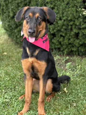 Nina