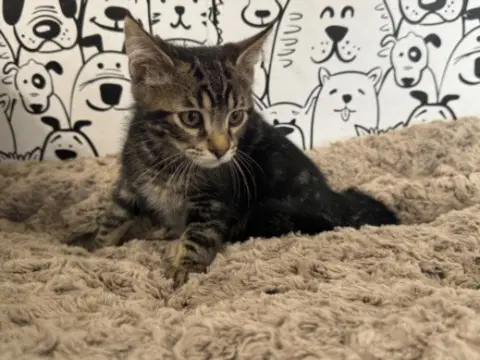 Thomas