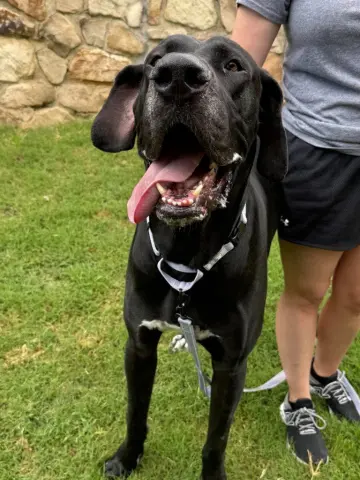 Neo