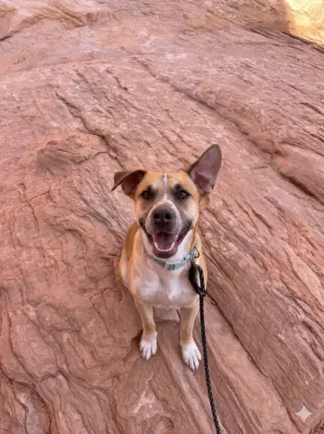 Pete
