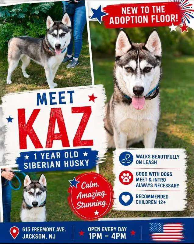 Kaz - Photo 1
