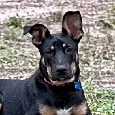 Zeus - Photo 1