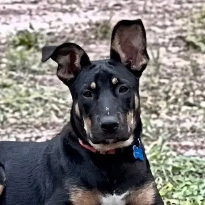 Zeus