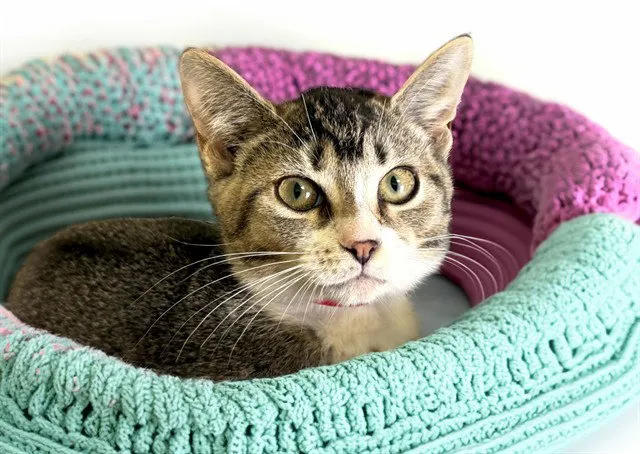Cathy - Photo 1