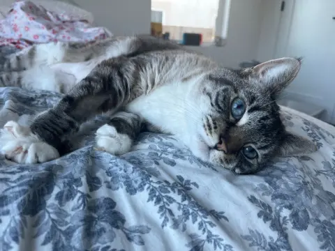 Beverly