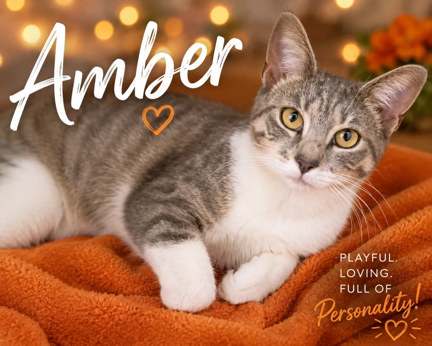 Amber - Photo 1