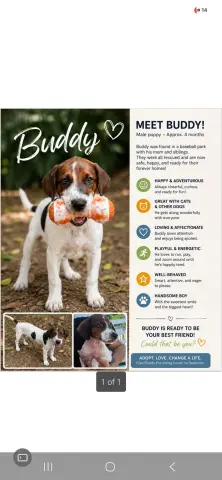 Buddy