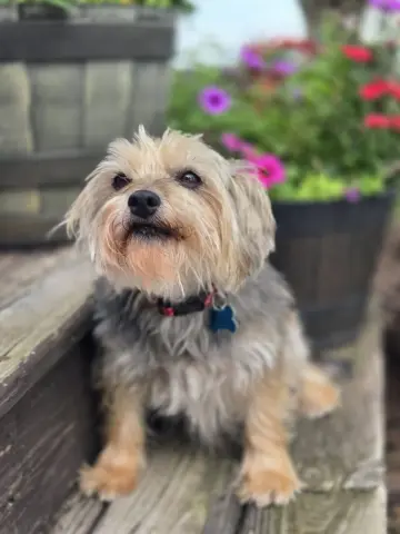 Molly