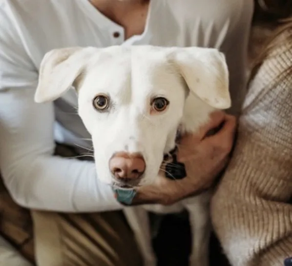Zoey - Photo 1