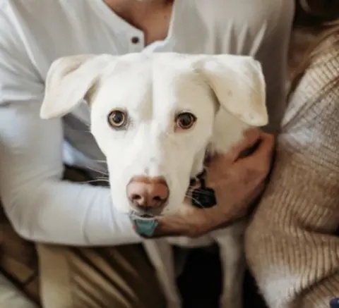 Zoey