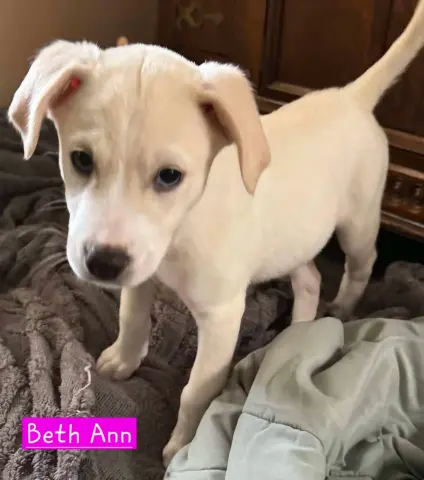 Beth Ann