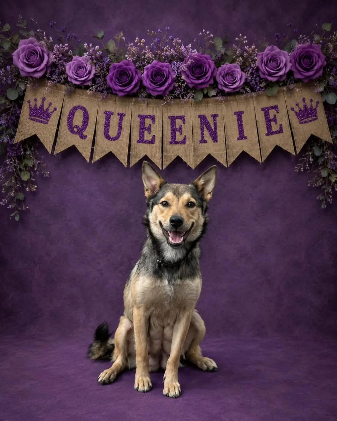 Queenie - Photo 1