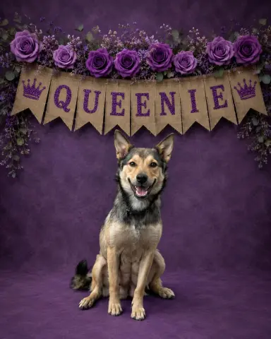 Queenie