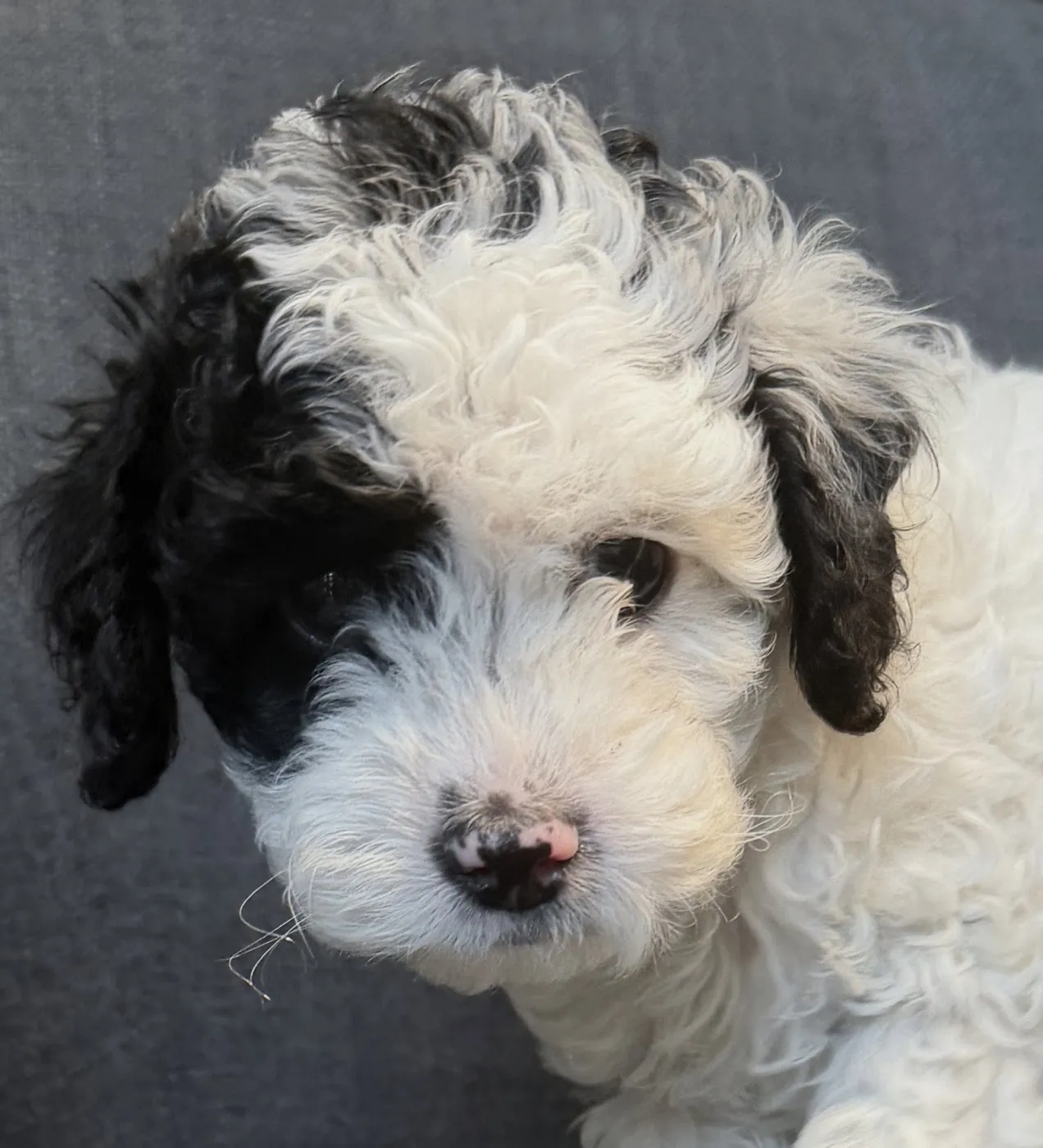 Sally - Photo 1