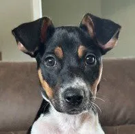 Lily - Photo 1