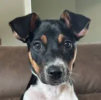 Lily