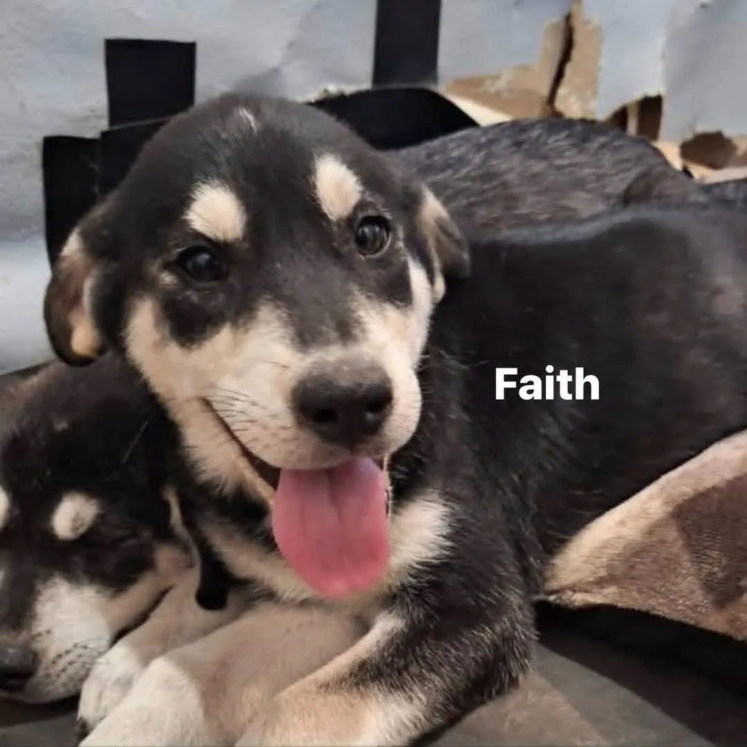 Faith - Photo 1