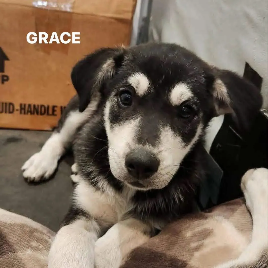 Grace - Photo 1
