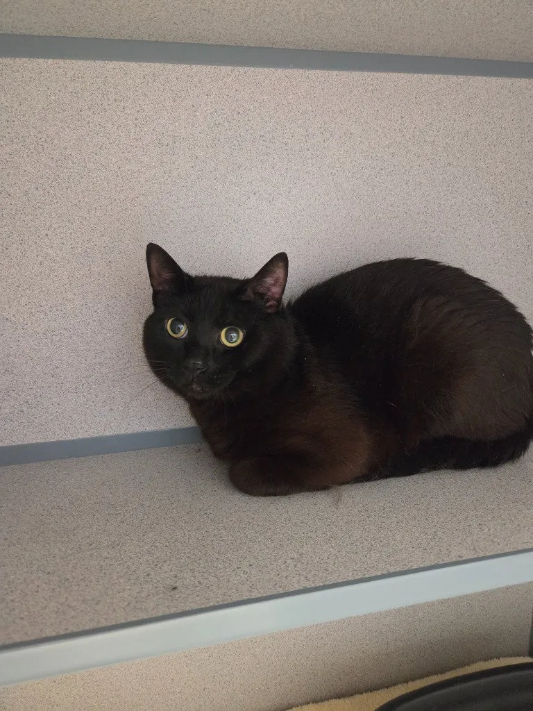 Melvin - Photo 1