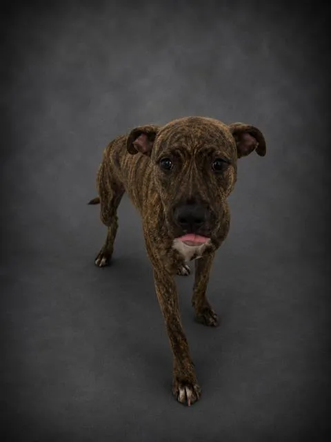 Cleo - Photo 1