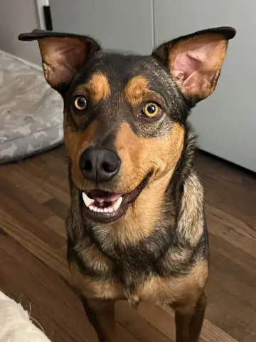 Buster
