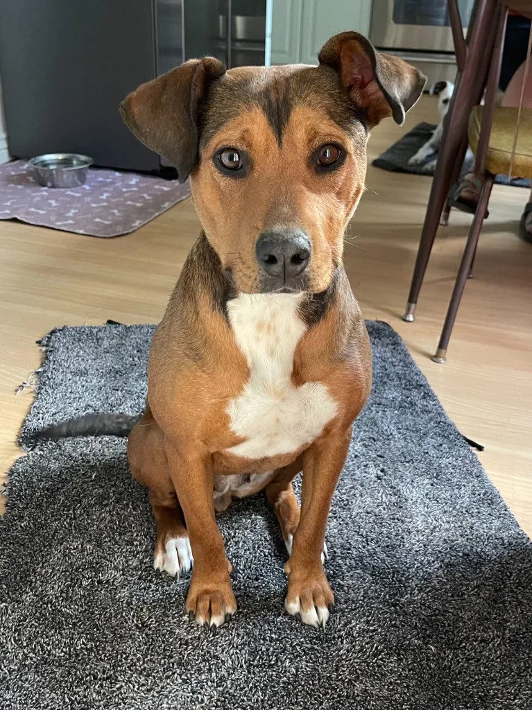 Penny - Photo 1