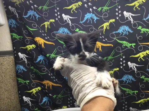 Luna