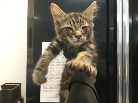 Milo