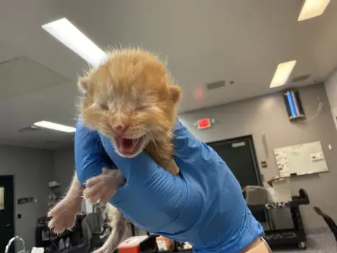 Oliver