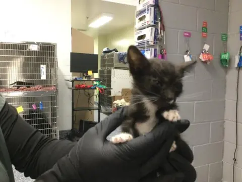 Luna