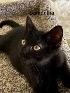 Samantha