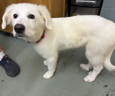 Fiona