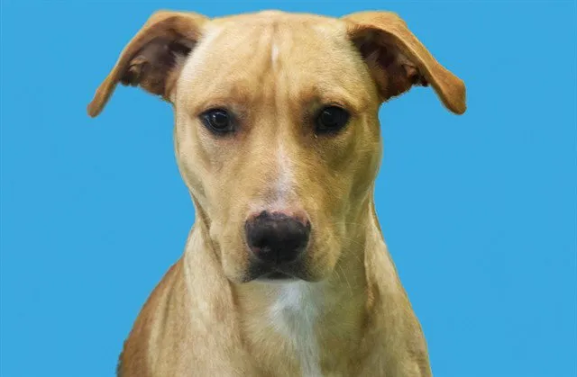 Duncan - Photo 1