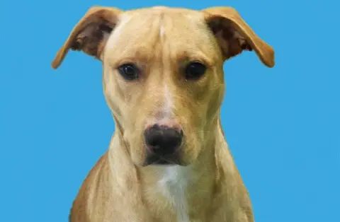 Duncan