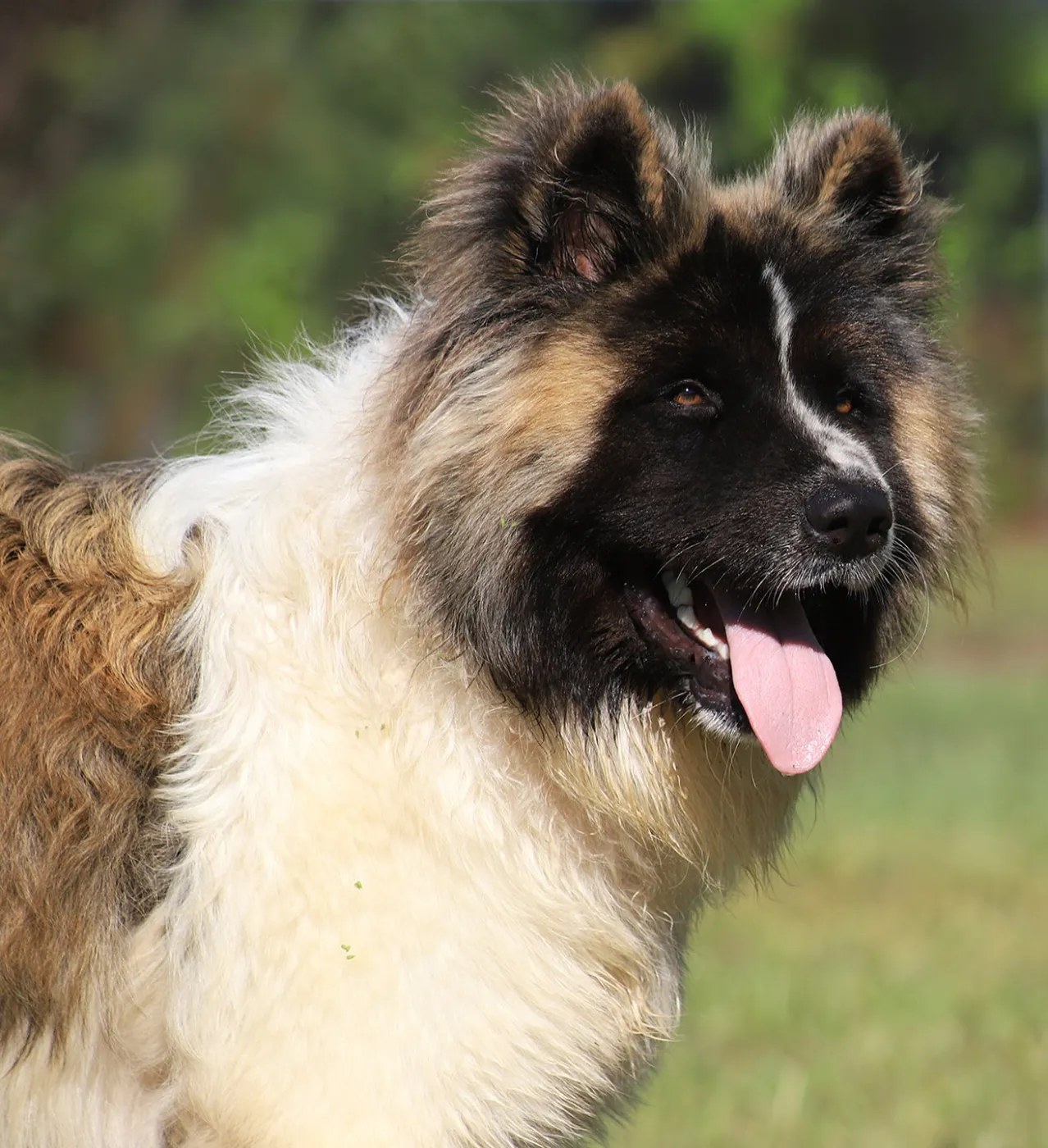 Remington - Photo 1