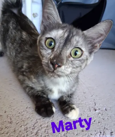 Marty