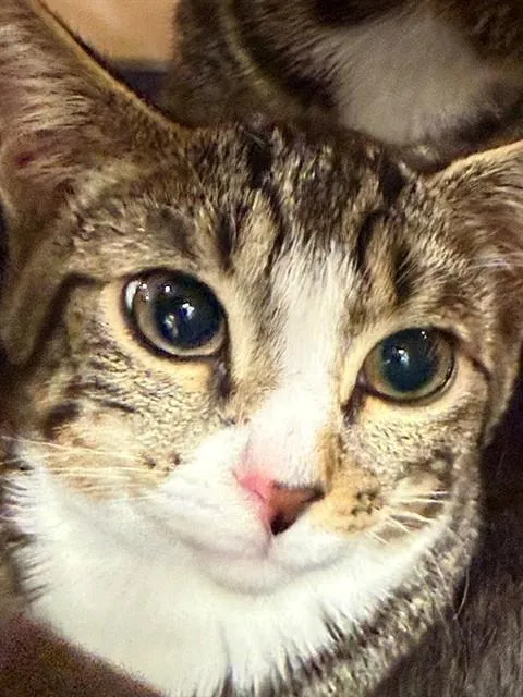 Luna - Photo 1