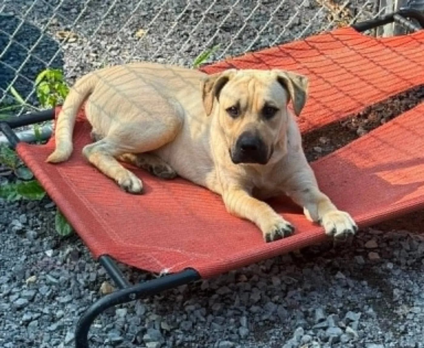 Socrates - Photo 1