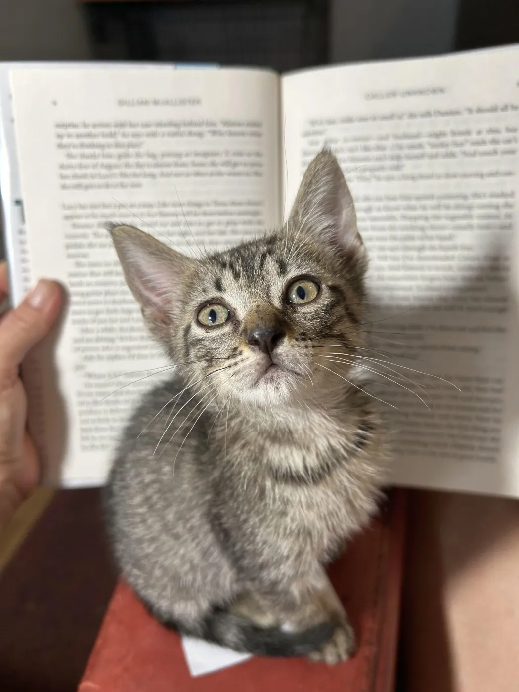 Skeeter - Photo 1