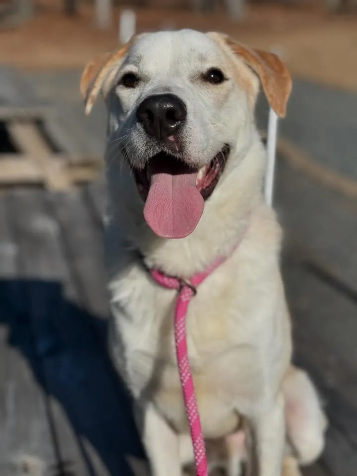 Zeus - Photo 1