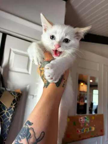 Casper